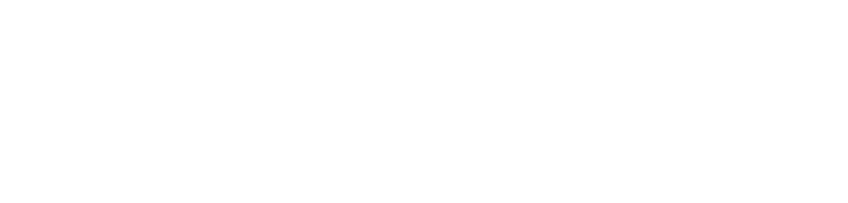 Gov Travel Support